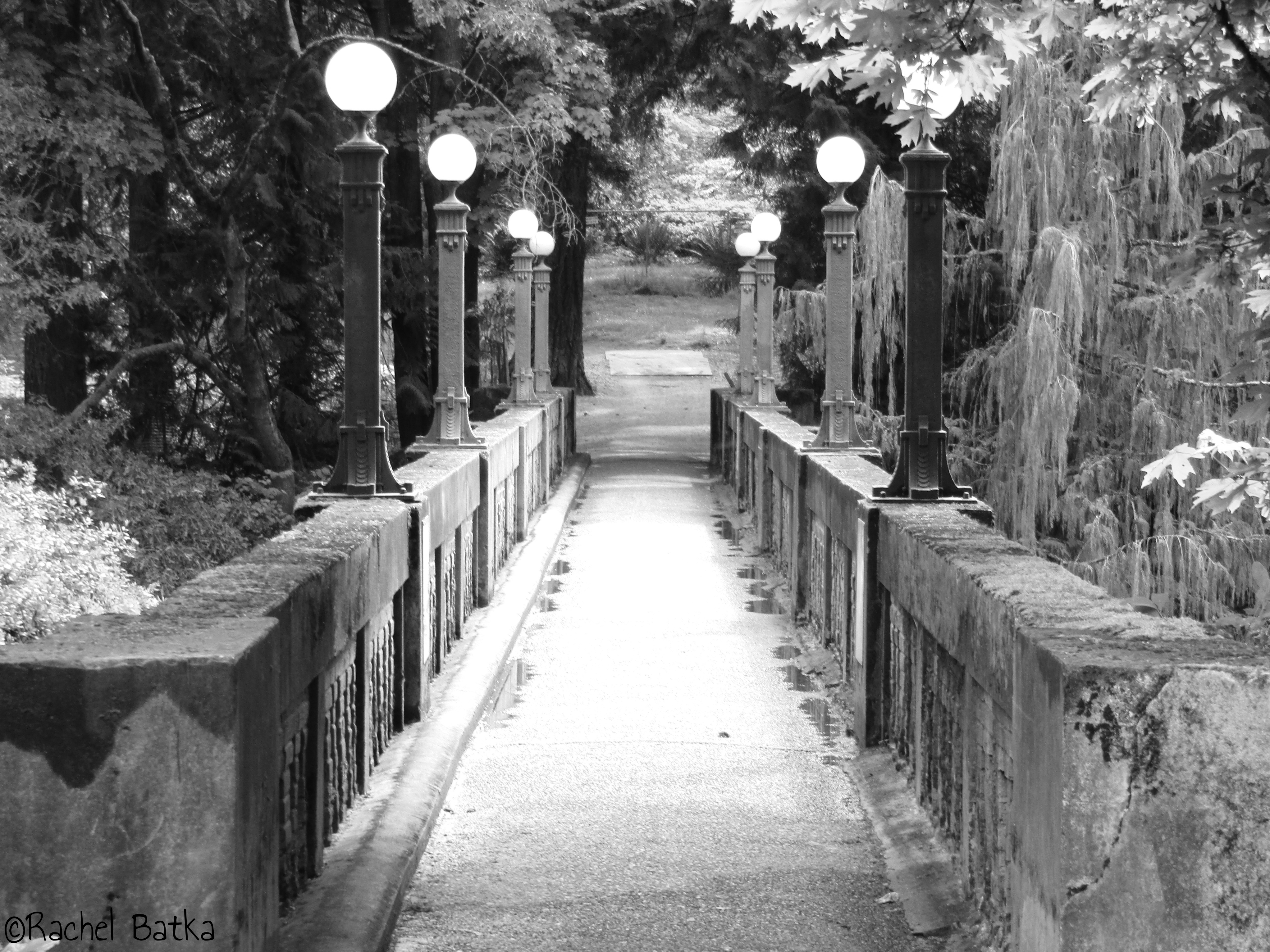 EquilibriumBW ©Rachel Batka.jpg