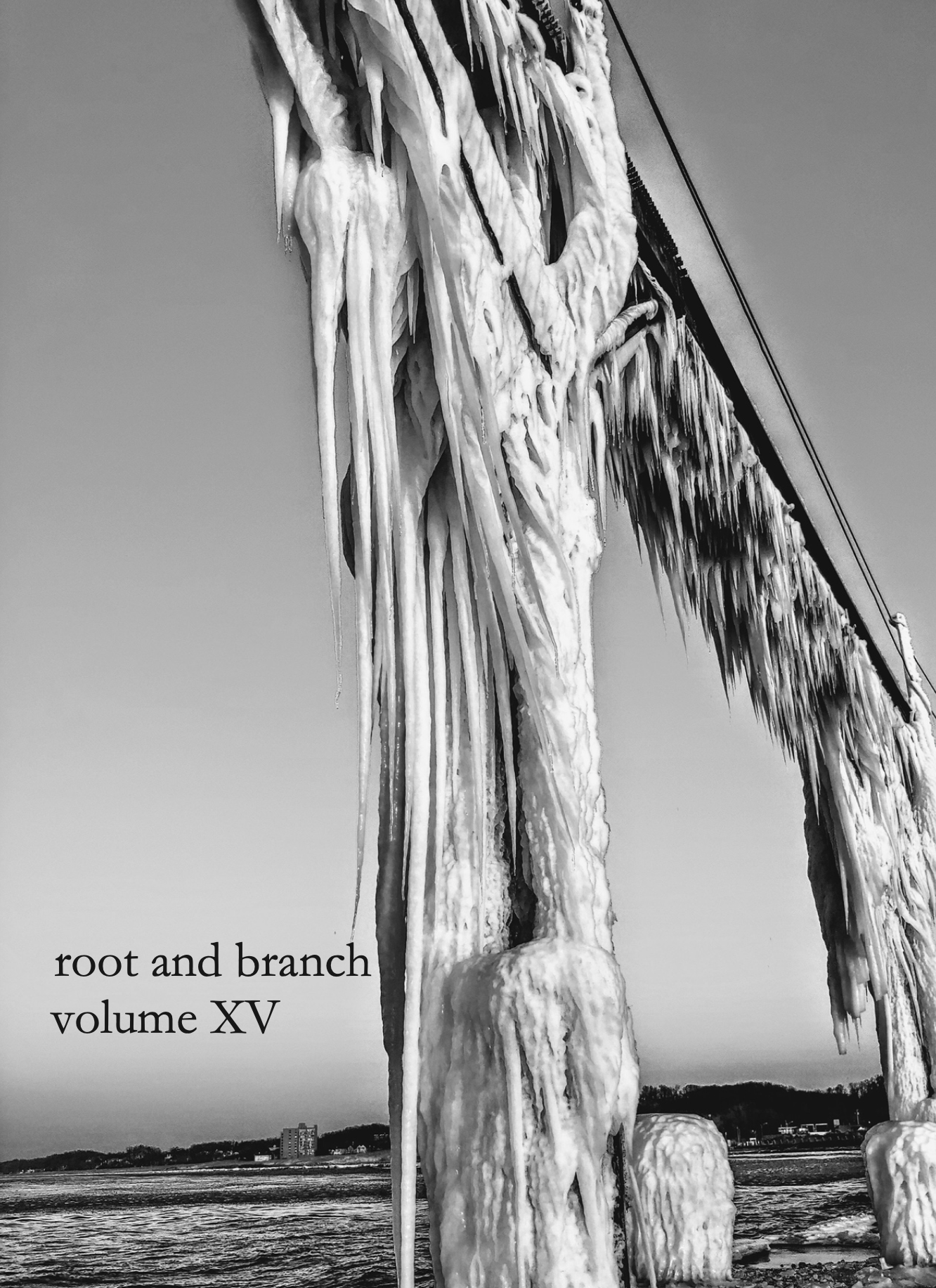 Volume 15 Cover-2022